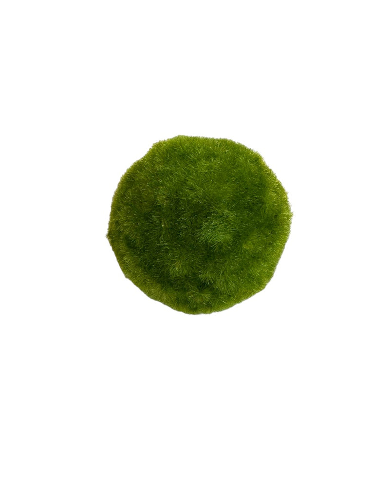 Sculpted Moss Ball - HD Marigold